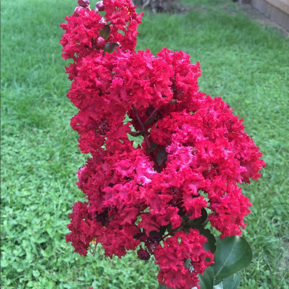 Meet your Posher, Kristine